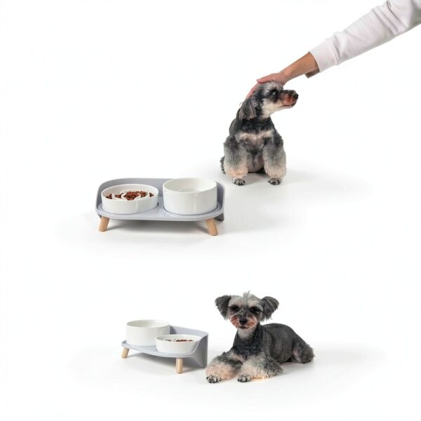 PTOBER Ceramic Slow Feeder Dog Bowl Set Medium Colors-5