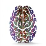 Clinical Psychology Book Kindle Edition W W Norton-0