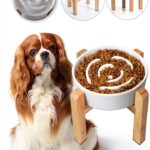 PTOBER Dog Slow Feeder Ceramic Elevated Non Slip Bowl-0