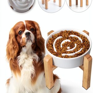 PTOBER Dog Slow Feeder Ceramic Elevated Non Slip Bowl-0