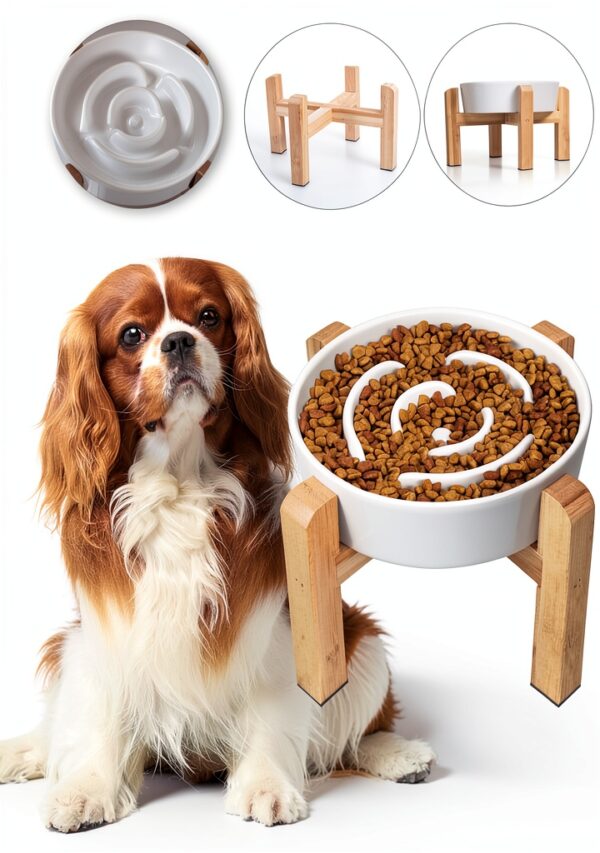 PTOBER Dog Slow Feeder Ceramic Elevated Non Slip Bowl-0