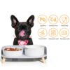 PTOBER Ceramic Slow Feeder Dog Bowl Set Medium Colors-4