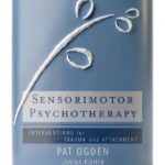 Norton Interpersonal Neurobiology Clinical Psychology Book-0