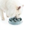 Outward Hound Slow Feeder Dog Bowl Large Sage Puzzle Design-5