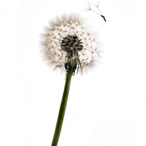 Harper Kindle Book Clinical Psychology Emotional Health-0