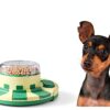 Pedgogo Dog Slow Feeder Puzzle Toy Brain Stimulation-2