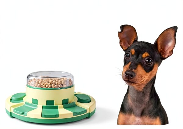 Pedgogo Dog Slow Feeder Puzzle Toy Brain Stimulation-2