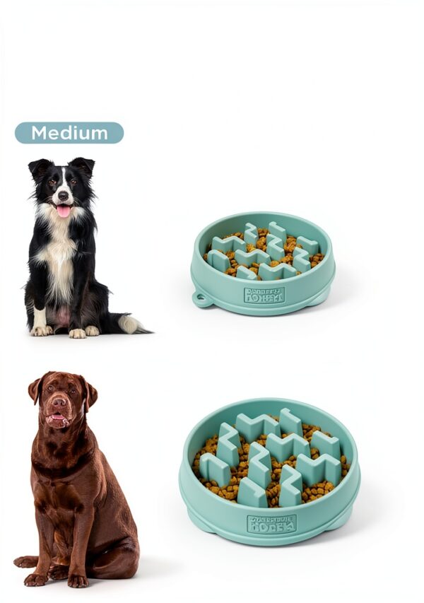 Outward Hound Slow Feeder Dog Bowl Large Sage Puzzle Design-4