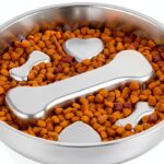 Novery Stainless Steel Dog Slow Feeder Bone Print 2 Cups-0