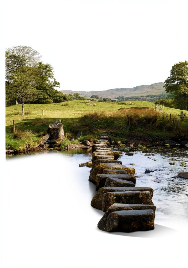 Clinical Psychology eBook 3rd Edition English Kindle Store-0