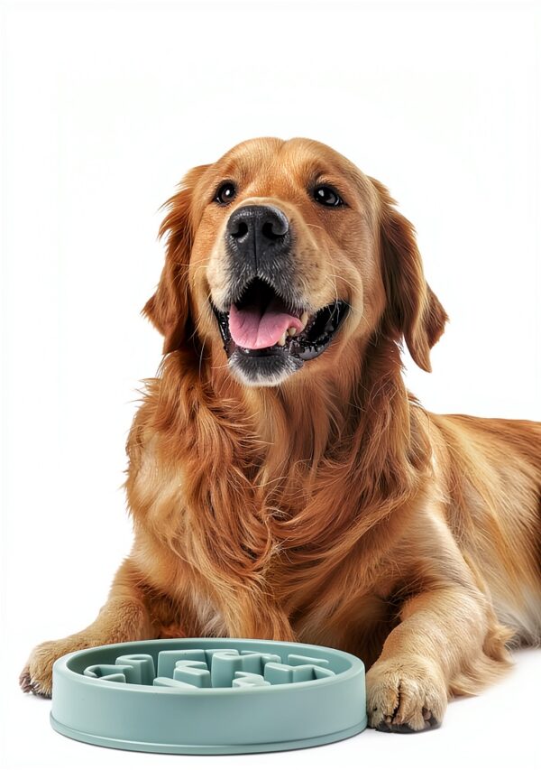 Outward Hound Slow Feeder Dog Bowl Large Sage Puzzle Design-1