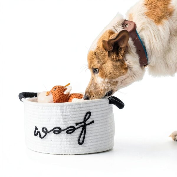 Paws For Reaction Dog Gift Basket Toys Slow Feeder Bowl-4