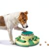 Pedgogo Dog Slow Feeder Puzzle Toy Brain Stimulation-1