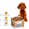 PTOBER Dog Slow Feeder Ceramic Elevated Non Slip Bowl-5