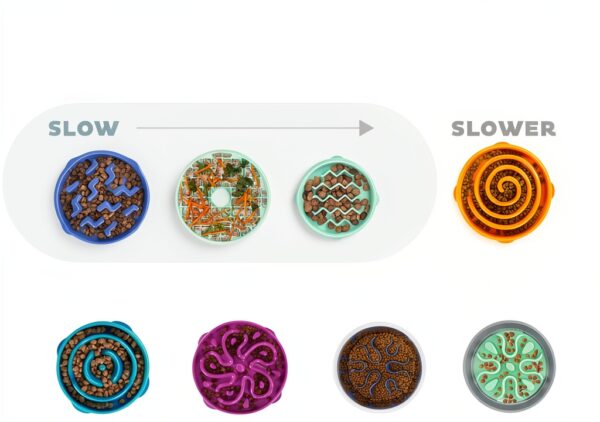 Outward Hound Slow Feeder Dog Bowl Large Sage Puzzle Design-3