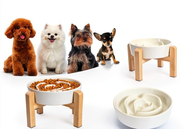 PTOBER Dog Slow Feeder Ceramic Elevated Non Slip Bowl-1
