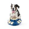 KADTC Dog Puzzle Toy Slow Feeder Bistro Yellow Blue-3