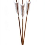 Runestone Books Historical Norse Fiction Kindle eBook Saga-0