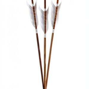 Runestone Books Historical Norse Fiction Kindle eBook Saga-0