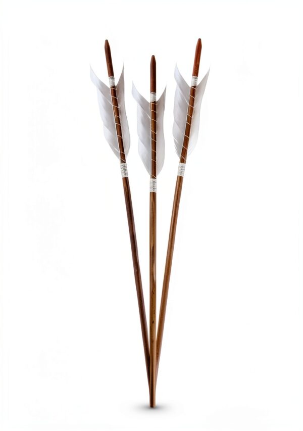 Runestone Books Historical Norse Fiction Kindle eBook Saga-0