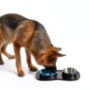 MateeyLife Dog Slow Feeder Bowl Set Anti Spill Mat Small-2