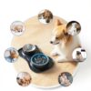 MateeyLife Dog Slow Feeder Bowl Set Anti Spill Mat Small-6