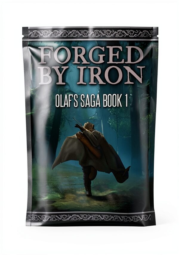 Olaf's Saga Book 1 Kindle Bodn Books Historical-0